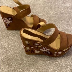 Express Size 7 wedges